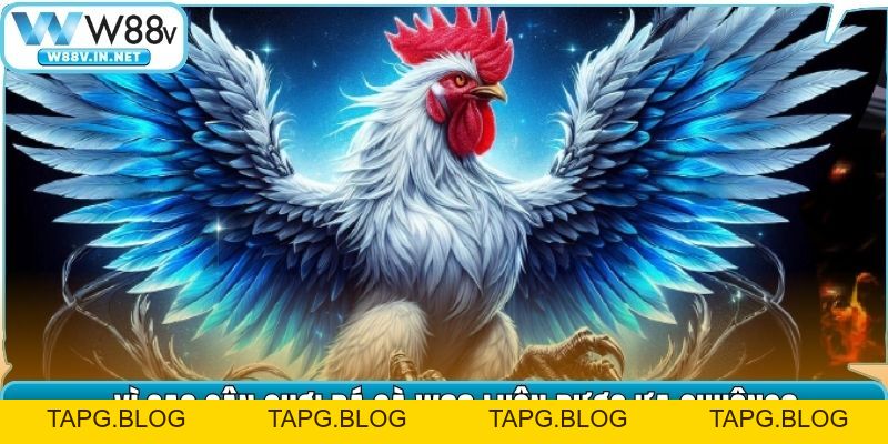 Đá Gà W88 – Đấu Trường Chọi Kê Đỉnh Cao Bậc Nhất Hiện Nay